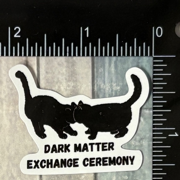 Other - 🌀10/$10🌀 Cute Black Cat Reusable Waterproof Vinyl Sticker Decal